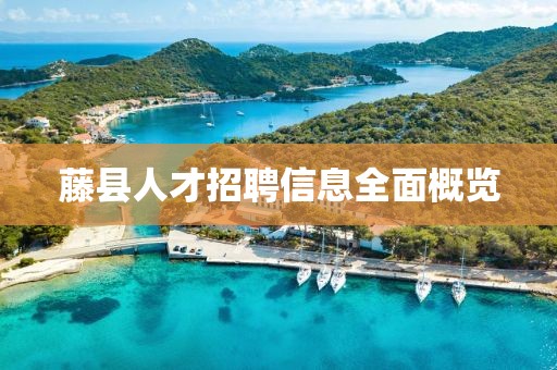藤县人才招聘信息全面概览