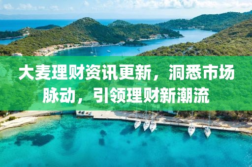大麦理财资讯更新，洞悉市场脉动，引领理财新潮流