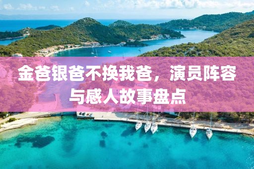金爸银爸不换我爸，演员阵容与感人故事盘点