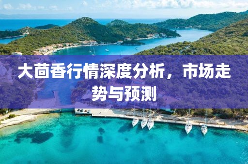 大茴香行情深度分析，市场走势与预测