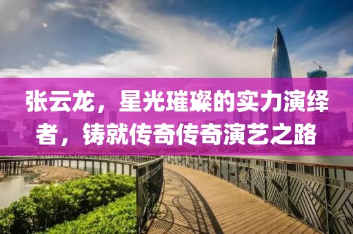 张云龙，星光璀璨的实力演绎者，铸就传奇传奇演艺之路