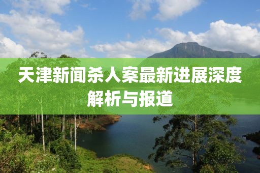 天津新闻杀人案最新进展深度解析与报道