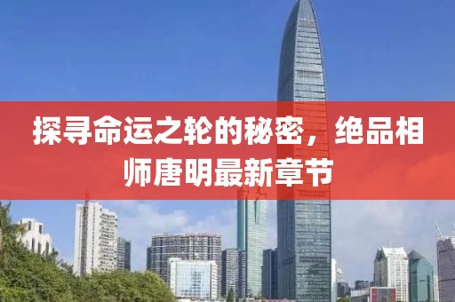 探寻命运之轮的秘密，绝品相师唐明最新章节