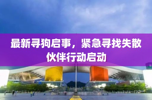 最新寻狗启事，紧急寻找失散伙伴行动启动