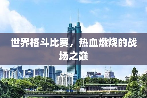 百年孤独 第15页