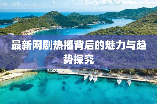 最新网剧热播背后的魅力与趋势探究