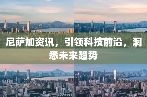 尼萨加资讯，引领科技前沿，洞悉未来趋势