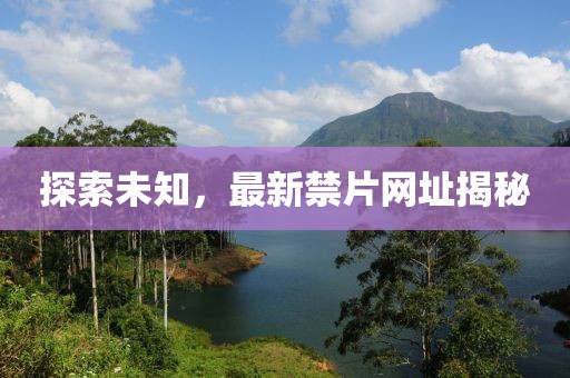 探索未知，最新禁片网址揭秘