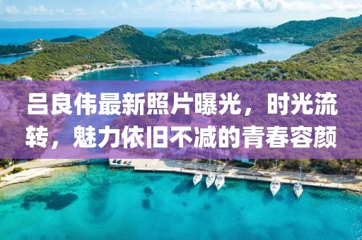 吕良伟最新照片曝光，时光流转，魅力依旧不减的青春容颜