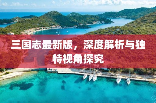 三国志最新版，深度解析与独特视角探究
