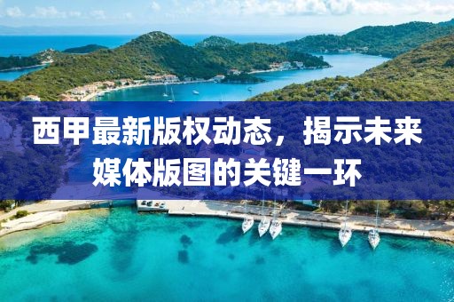 西甲最新版权动态，揭示未来媒体版图的关键一环