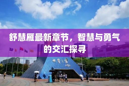 舒慧雁最新章节，智慧与勇气的交汇探寻