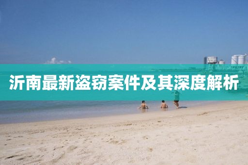 沂南最新盗窃案件及其深度解析