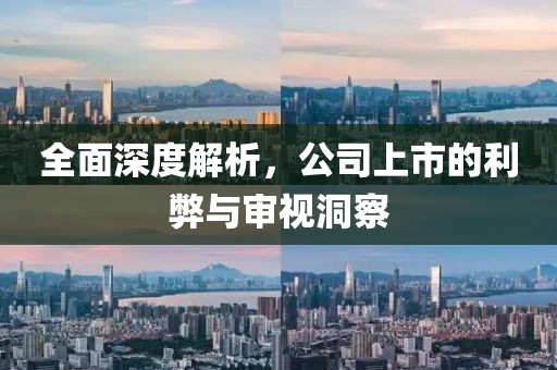全面深度解析，公司上市的利弊与审视洞察