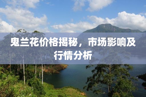鬼兰花价格揭秘，市场影响及行情分析