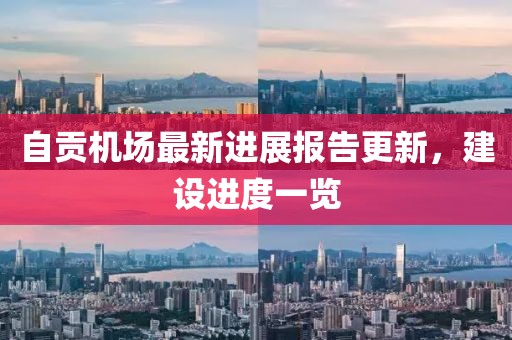 自贡机场最新进展报告更新，建设进度一览