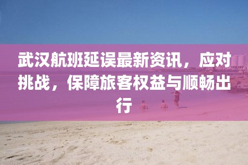 武汉航班延误最新资讯，应对挑战，保障旅客权益与顺畅出行
