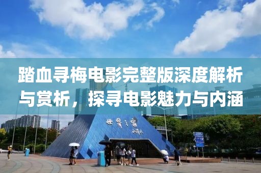 踏血寻梅电影完整版深度解析与赏析，探寻电影魅力与内涵