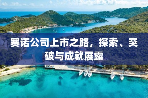 赛诺公司上市之路，探索、突破与成就展露