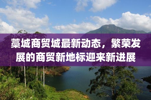 藁城商贸城最新动态，繁荣发展的商贸新地标迎来新进展
