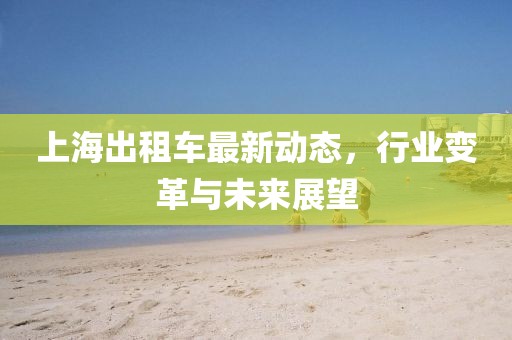 上海出租车最新动态，行业变革与未来展望