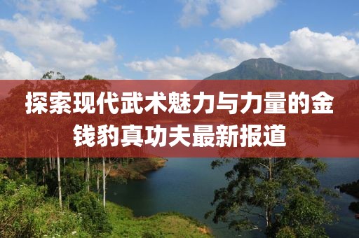 探索现代武术魅力与力量的金钱豹真功夫最新报道
