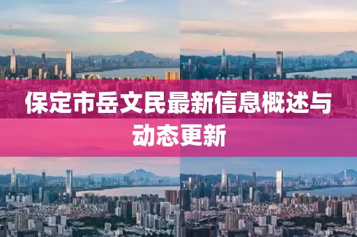 保定市岳文民最新信息概述与动态更新