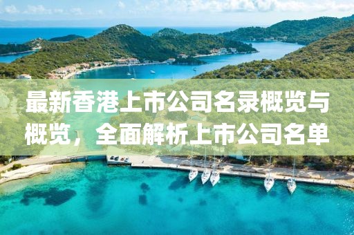 最新香港上市公司名录概览与概览，全面解析上市公司名单