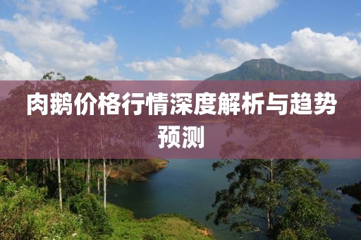 初告白 第13页
