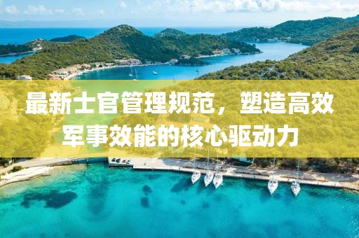 最新士官管理规范，塑造高效军事效能的核心驱动力