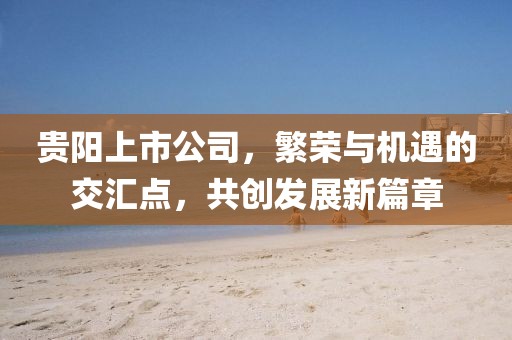 贵阳上市公司，繁荣与机遇的交汇点，共创发展新篇章