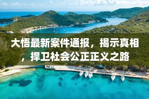 大悟最新案件通报，揭示真相，捍卫社会公正正义之路