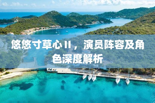 悠悠寸草心Ⅱ，演员阵容及角色深度解析