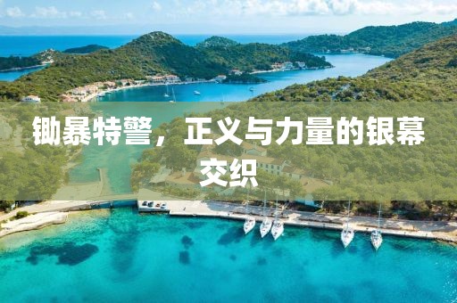 锄暴特警，正义与力量的银幕交织