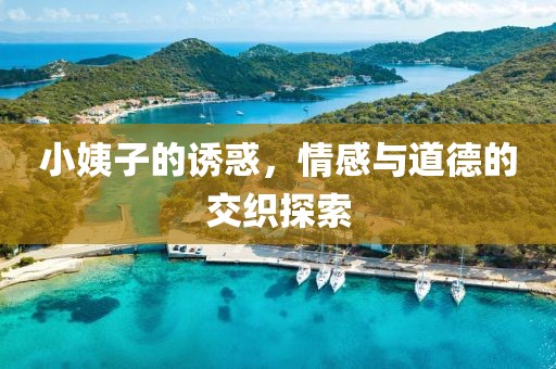 小姨子的诱惑，情感与道德的交织探索