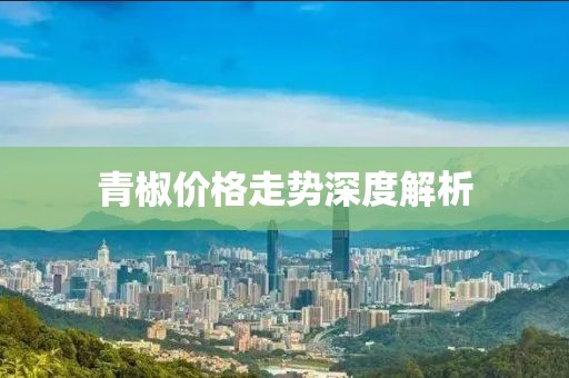 成功案例 第380页