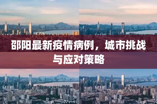 邵阳最新疫情病例，城市挑战与应对策略