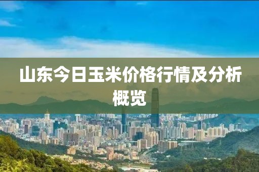 山东今日玉米价格行情及分析概览
