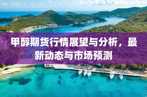 甲醇期货行情展望与分析，最新动态与市场预测