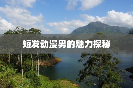 短发动漫男的魅力探秘