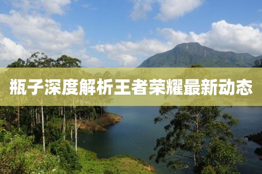 瓶子深度解析王者荣耀最新动态