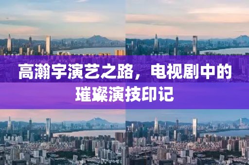 高瀚宇演艺之路，电视剧中的璀璨演技印记