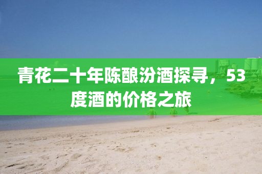 青花二十年陈酿汾酒探寻，53度酒的价格之旅