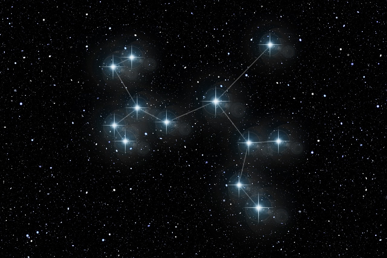 杨钰莹明星同乐会，星光璀璨的夜晚