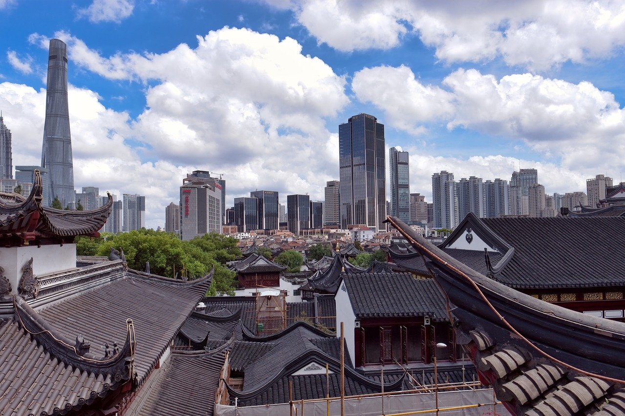 上海最新版地图揭示城市脉络与发展蓝图