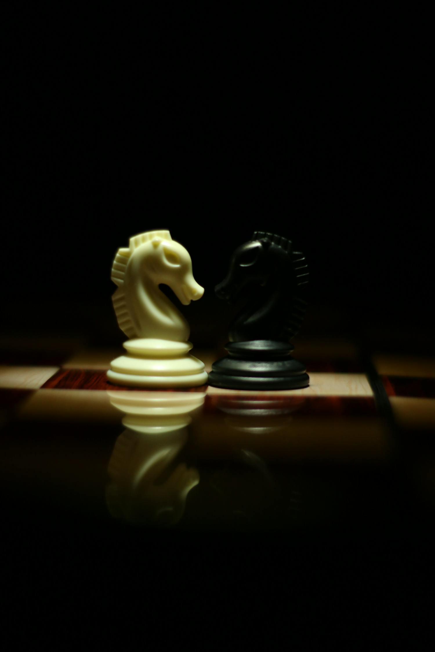 曹岩磊象棋比赛视频，技艺、智慧与激情的较量