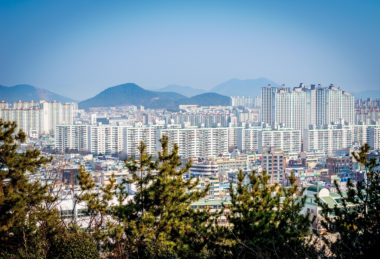 烟台塔山南路最新动态，见证城市发展，展望未来前景