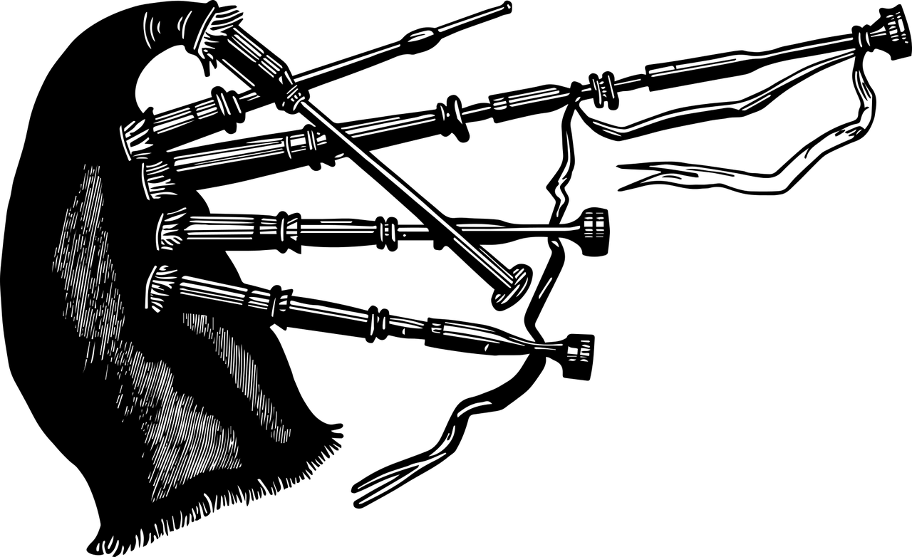 裴格季子铭，音乐与艺术的融合之旅最新动态