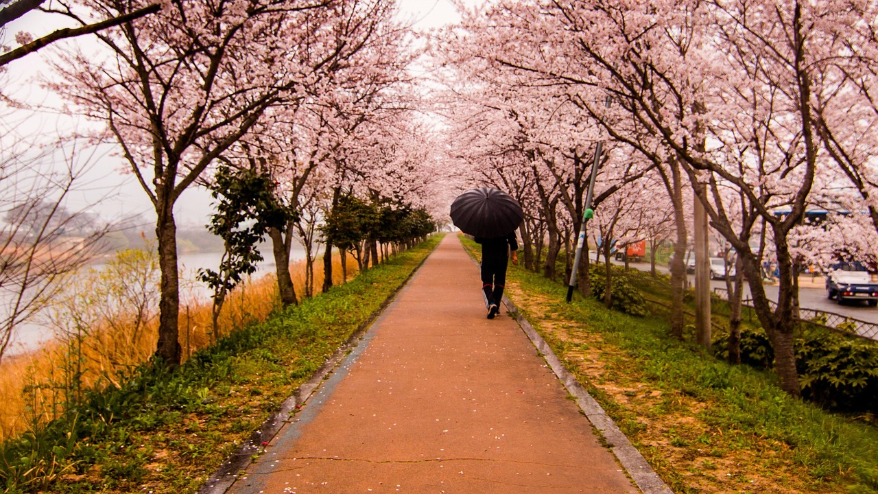 芙蓉江大道迈向未来，城市主干道新篇章揭秘