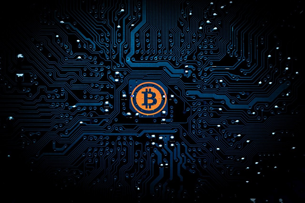 探索明星养成之路，揭开明星之路的奥秘
